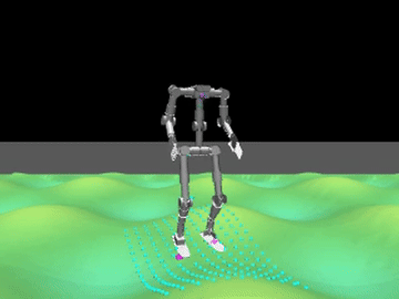 Walka-Rough on wave terrain